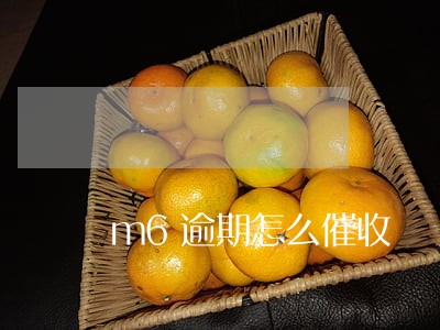 m6逾期怎么催收 m6逾期怎么催收