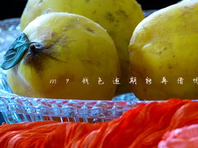 m9钱包逾期能再借吗 m9钱包逾期能再借吗