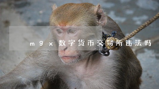 mgx数字货币交易所违法吗 mgx数字货币交易所违法吗