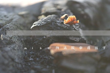 mike向法院申请孩子抚养权 mike向法院申请孩子抚养权