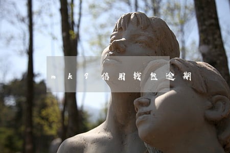 mk9信用钱包逾期 mk9信用钱包逾期