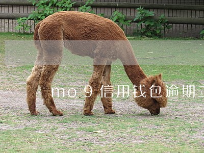 mo9信用钱包逾期三个月 mo9信用钱包逾期三个月