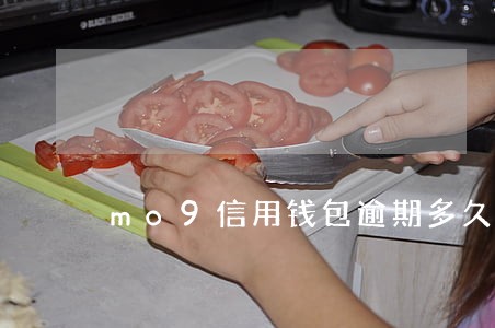 mo9信用钱包逾期多久 mo9信用钱包逾期多久