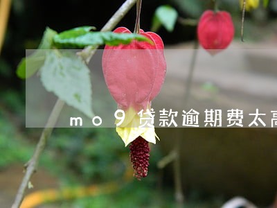 mo9贷款逾期费太高 mo9贷款逾期费太高