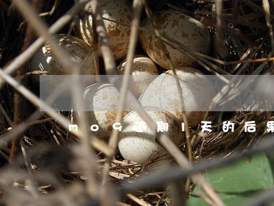 mo9逾期1天的后果 mo9逾期1天的后果