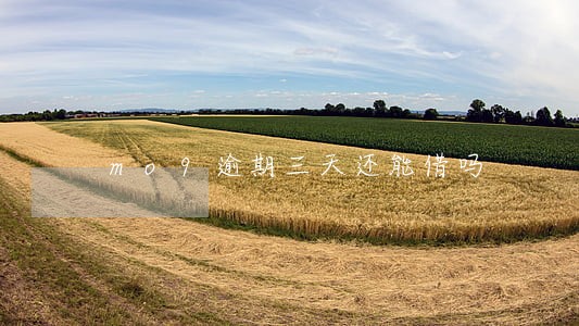 mo9逾期三天还能借吗