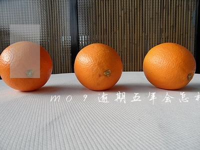 mo9逾期五年会怎样 mo9逾期五年会怎样