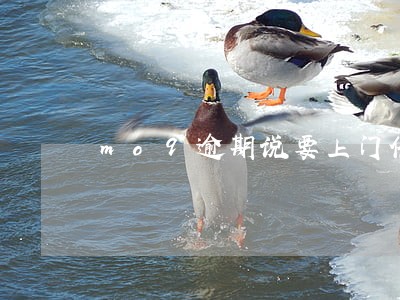 mo9逾期说要上门催收 mo9逾期说要上门催收