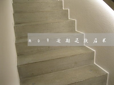 mo9逾期还款后果