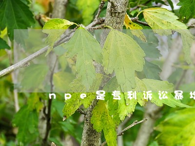 npe是专利诉讼暴增的罪魁祸首 npe是专利诉讼暴增的罪魁祸首
