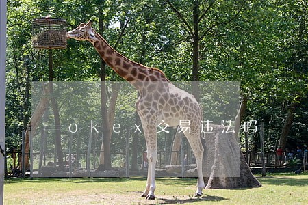 okex交易违法吗 okex交易违法吗