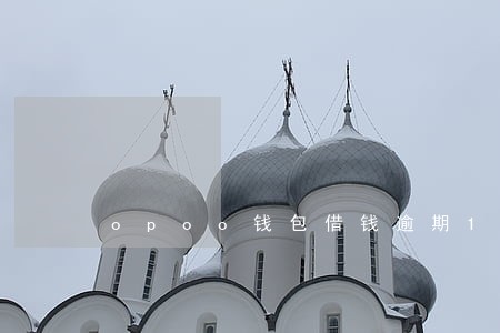 opoo钱包借钱逾期10天 opoo钱包借钱逾期10天