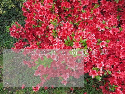 oppo贷款逾期 oppo贷款逾期