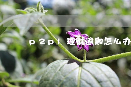 p2pl理财逾期怎么办 p2pl理财逾期怎么办