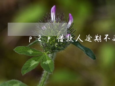 p2p借款人逾期不还款名单 p2p借款人逾期不还款名单