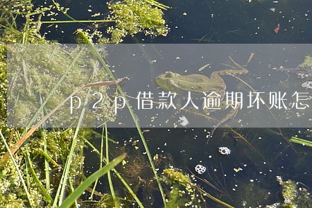 p2p借款人逾期坏账怎么办