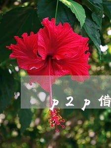 p2p借款逾期4年没有还 p2p借款逾期4年没有还