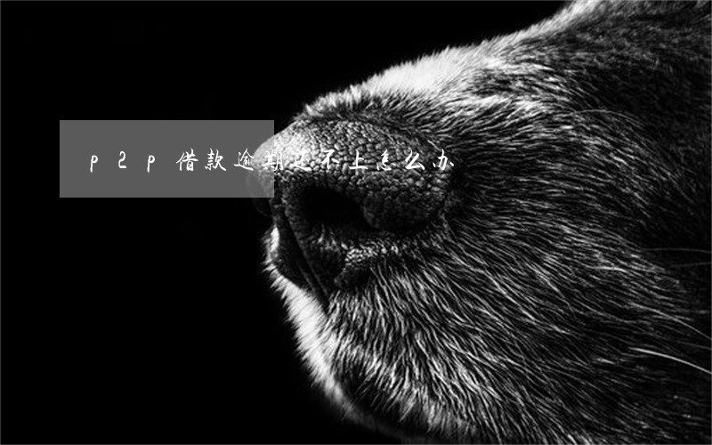 p2p借款逾期还不上怎么办 p2p借款逾期还不上怎么办
