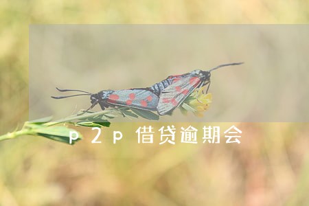 p2p借贷逾期会 p2p借贷逾期会