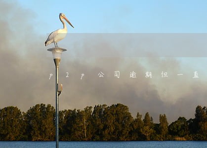p2p公司逾期但一直再支付 p2p公司逾期但一直再支付
