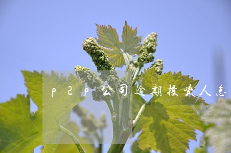 p2p公司逾期投资人怎么办 p2p公司逾期投资人怎么办