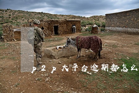 p2p大平台逾期都怎么办
