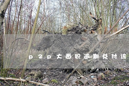 p2p大面积逾期兑付该报警吗 p2p大面积逾期兑付该报警吗