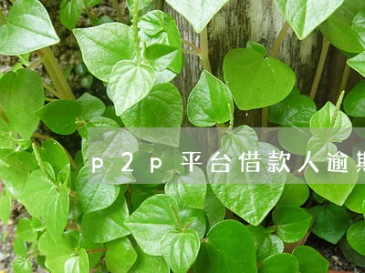 p2p平台借款人逾期如何处理