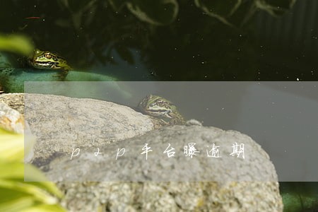 p2p平台曝逾期 p2p平台曝逾期