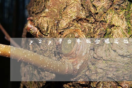 p2p平台牛板金曝近亿元逾期 p2p平台牛板金曝近亿元逾期