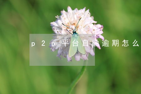 p2p平台自融逾期怎么办 p2p平台自融逾期怎么办