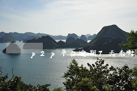 p2p平台逾期7天未处理 p2p平台逾期7天未处理