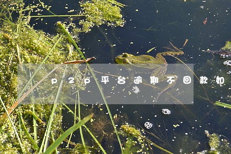 p2p平台逾期不回款如何讨债