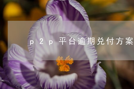 p2p平台逾期兑付方案 p2p平台逾期兑付方案