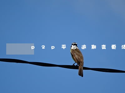 p2p平台逾期变更法人 p2p平台逾期变更法人
