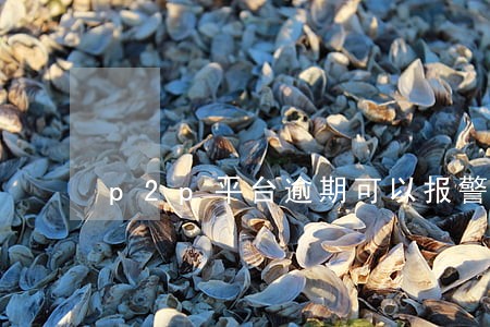 p2p平台逾期可以报警110吗 p2p平台逾期可以报警110吗