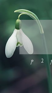 p2p平台逾期可以经侦立案吗 p2p平台逾期可以经侦立案吗