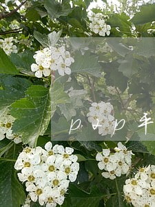 p2p平台逾期名单 p2p平台逾期名单