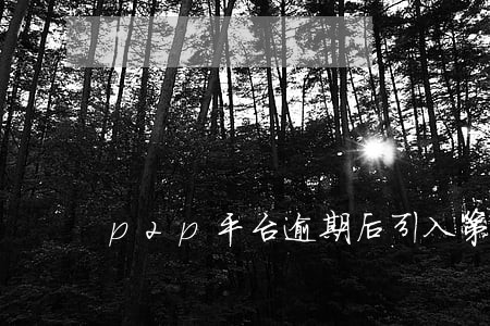 p2p平台逾期后引入第三方