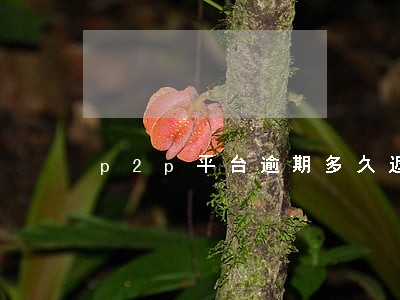 p2p平台逾期多久返还 p2p平台逾期多久返还