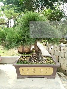 p2p平台逾期排名 p2p平台逾期排名