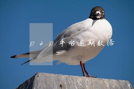 p2p平台逾期数据 p2p平台逾期数据