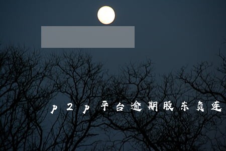 p2p平台逾期股东负连带责任 p2p平台逾期股东负连带责任