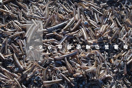 p2p平台逾期让签署授权协议 p2p平台逾期让签署授权协议