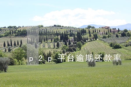 p2p平台逾期还款率 p2p平台逾期还款率
