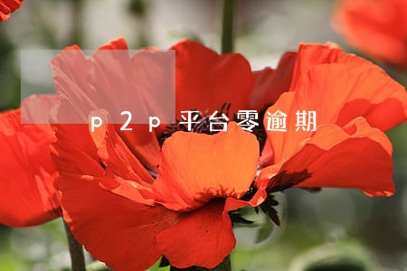 p2p平台零逾期 p2p平台零逾期