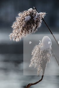 p2p待收本金包不包括逾期额 p2p待收本金包不包括逾期额
