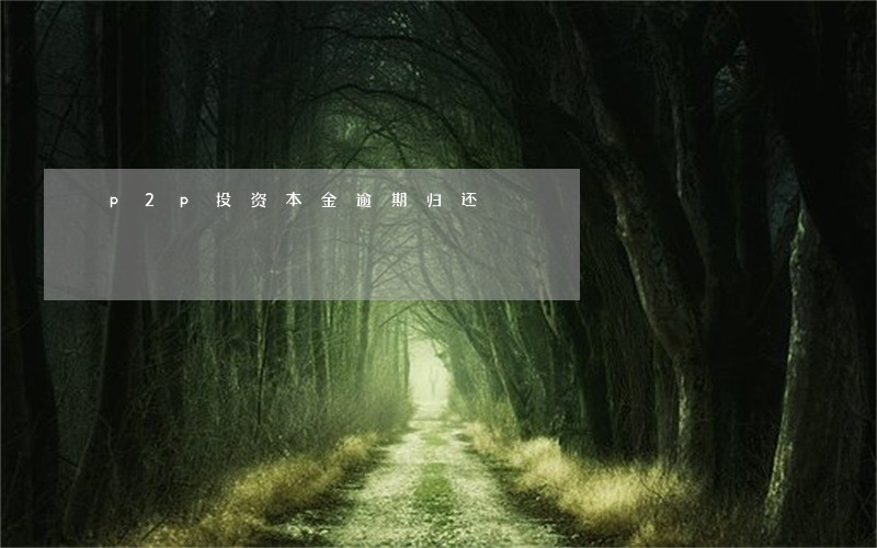 p2p投资本金逾期归还