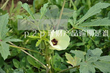 p2p理财产品逾期是谁的责任 p2p理财产品逾期是谁的责任