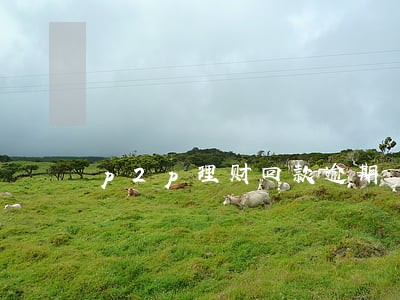 p2p理财回款逾期